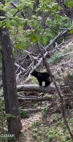 2218 Ridgeland Circle, Sevierville, TN 37862