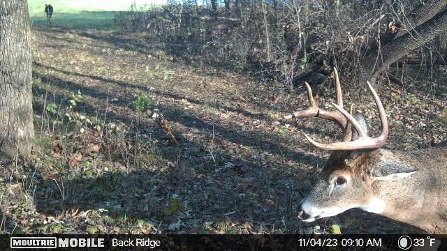 W12497 Highway 188, Lodi, WI 53555