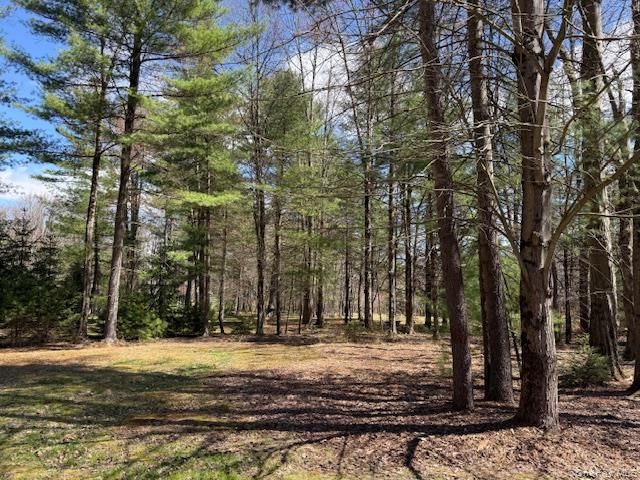 2769 State Route 55, Bethel, NY 12720