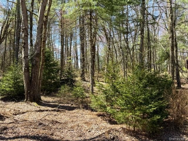 2769 State Route 55, Bethel, NY 12720