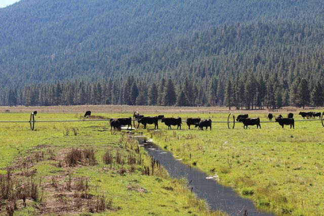 12046 Old Fort Road, Klamath Falls, OR 97601