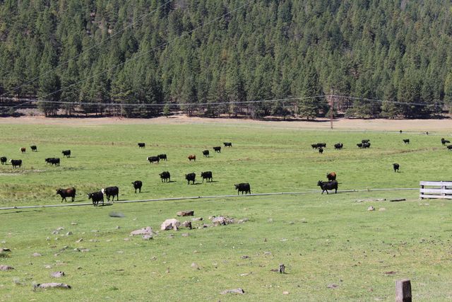 12046 Old Fort Road, Klamath Falls, OR 97601