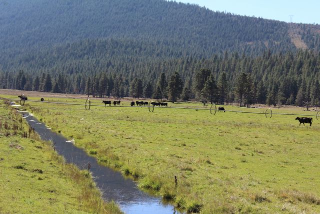 12046 Old Fort Road, Klamath Falls, OR 97601