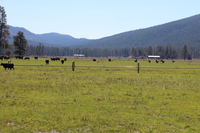 12046 Old Fort Road, Klamath Falls, OR 97601