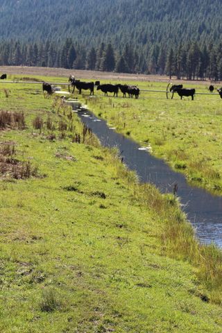 12046 Old Fort Road, Klamath Falls, OR 97601