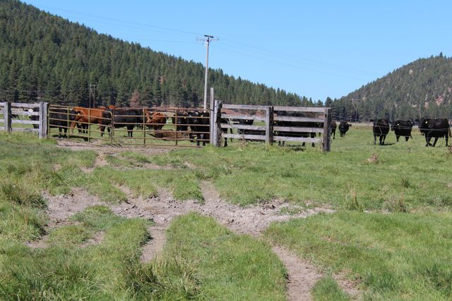 12046 Old Fort Road, Klamath Falls, OR 97601