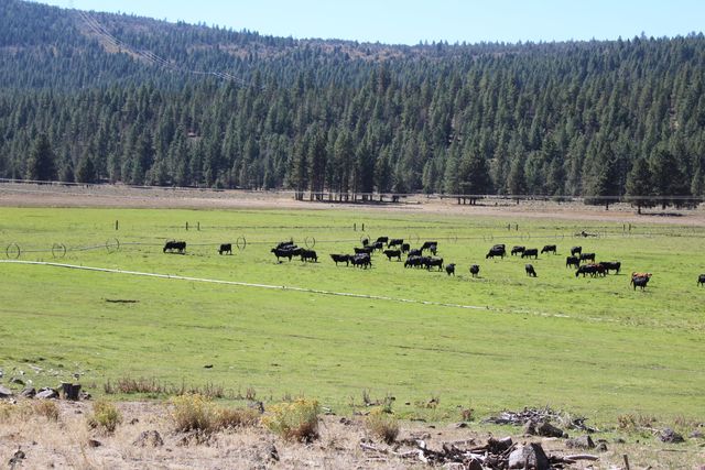 12046 Old Fort Road, Klamath Falls, OR 97601