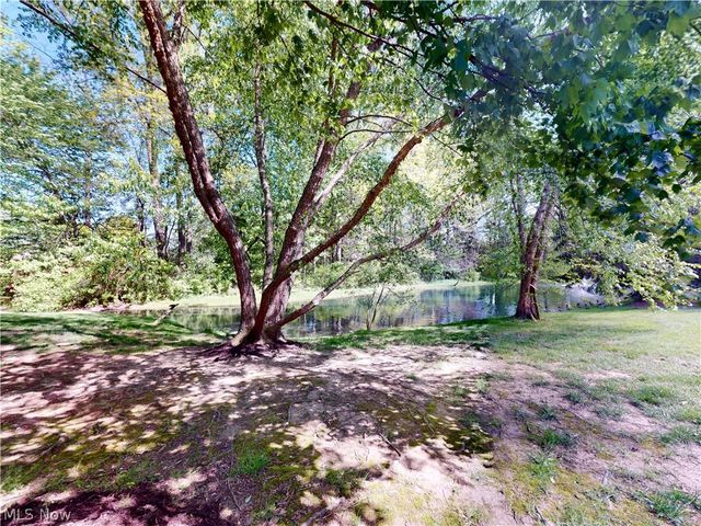 167 Marwyck Place Lane, Northfield, OH 44067