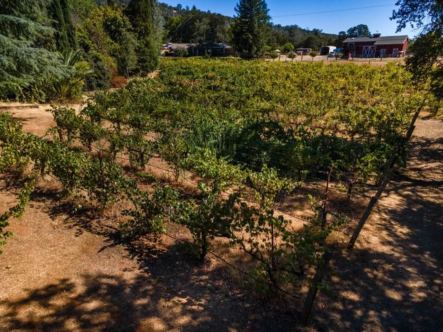 1000 Aqua Haven Ct, El Dorado Hills, CA 95762