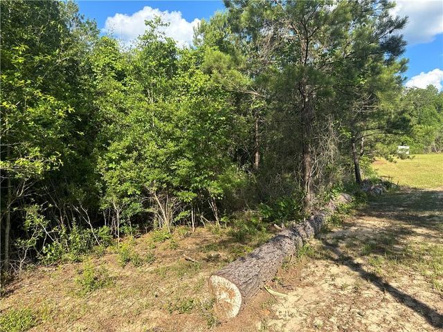 0 Lott Road, Chunchula, AL 36521