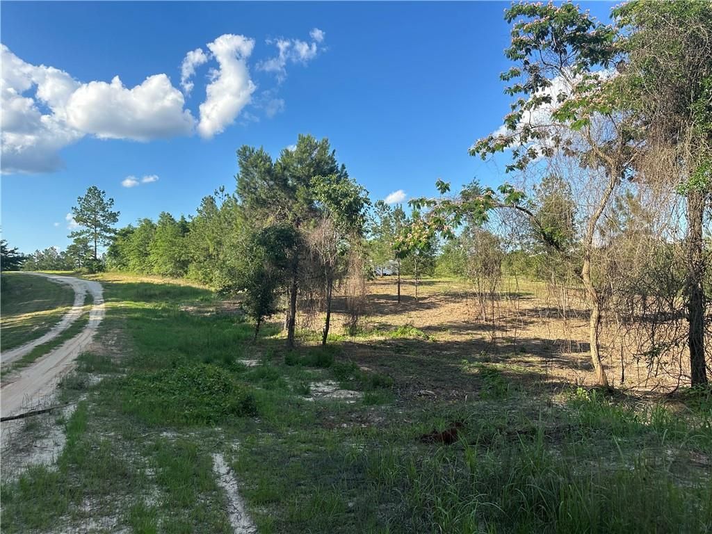 0 Lott Road, Chunchula, AL 36521 — photo 2