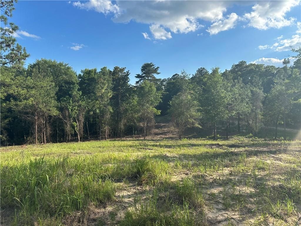 0 Lott Road, Chunchula, AL 36521 — photo 3
