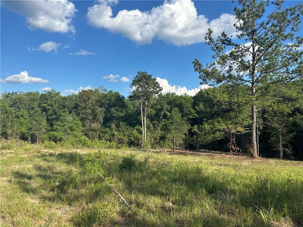 0 Lott Road, Chunchula, AL 36521 — photo 4