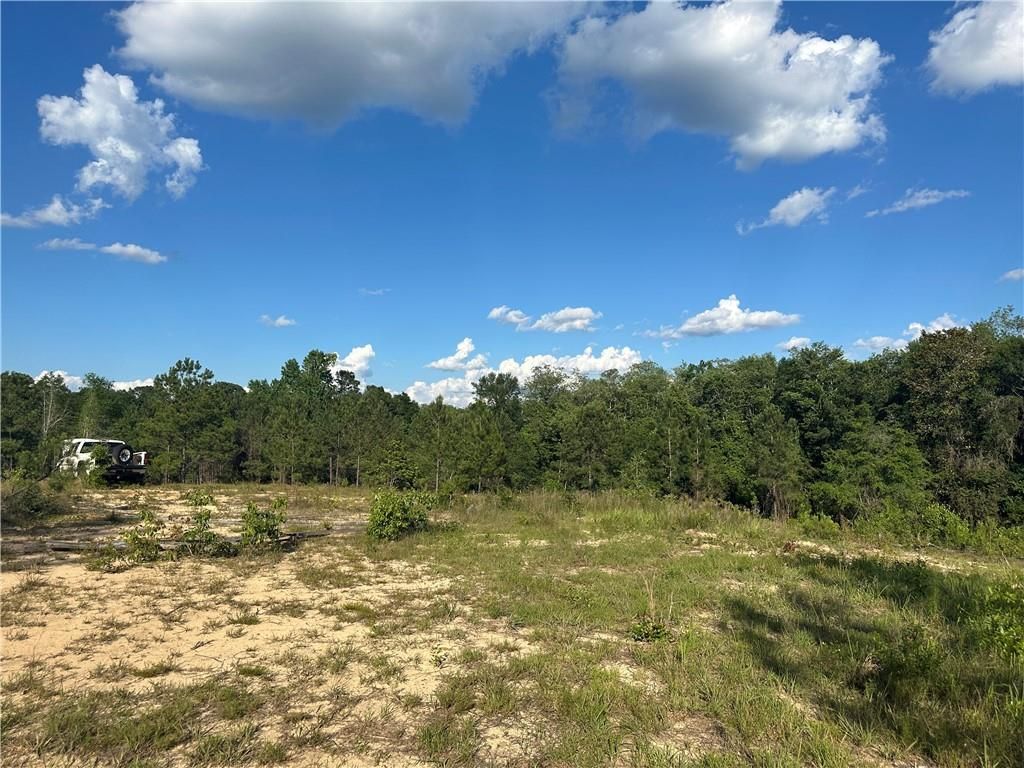 0 Lott Road, Chunchula, AL 36521 — photo 5