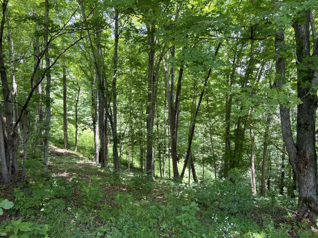 0 Lafever Ridge Rd, Silver Point, TN 38582