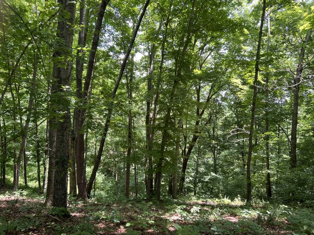 0 Lafever Ridge Rd, Silver Point, TN 38582