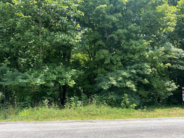 0 Lafever Ridge Rd, Silver Point, TN 38582