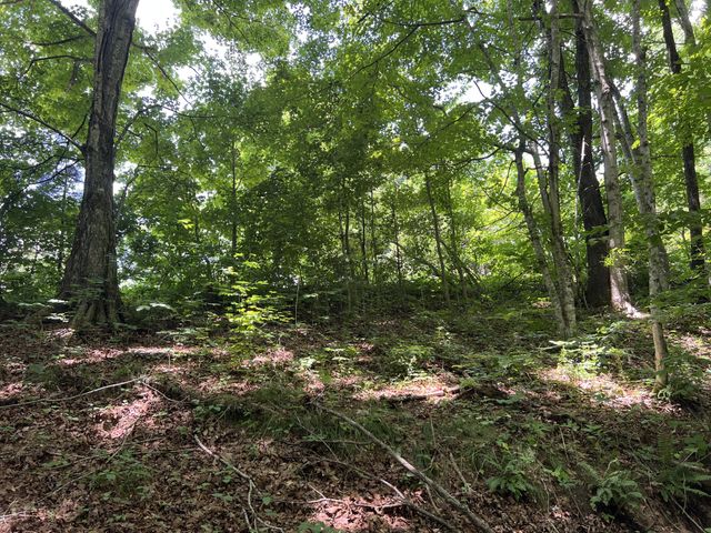 0 Lafever Ridge Rd, Silver Point, TN 38582