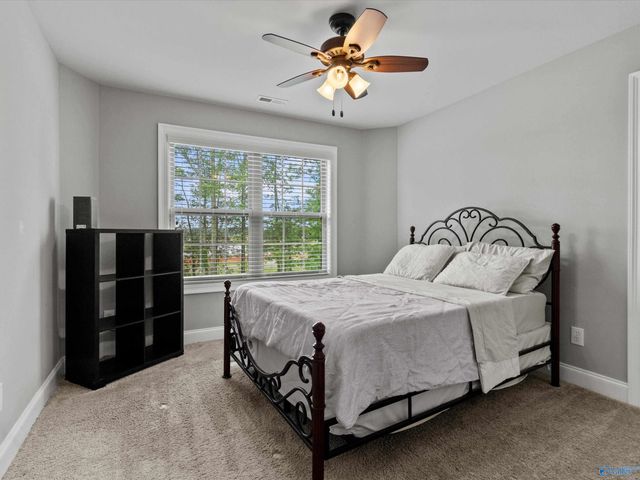 29222 Carnaby Lane, Toney, AL 35773