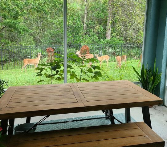 11150 PARADISE POINT WAY, New Port Richey, FL 34654