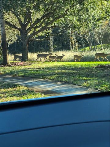 11150 PARADISE POINT WAY, New Port Richey, FL 34654