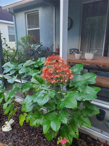 11150 PARADISE POINT WAY, New Port Richey, FL 34654