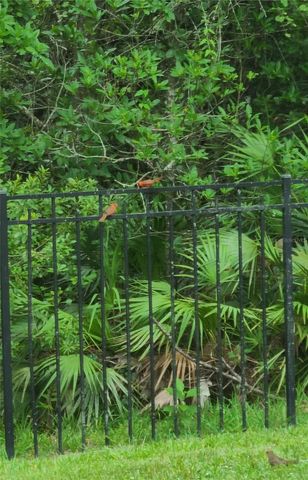 11150 PARADISE POINT WAY, New Port Richey, FL 34654