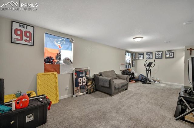 1033 Mt. Werner Circle, Colorado Springs, CO 80905