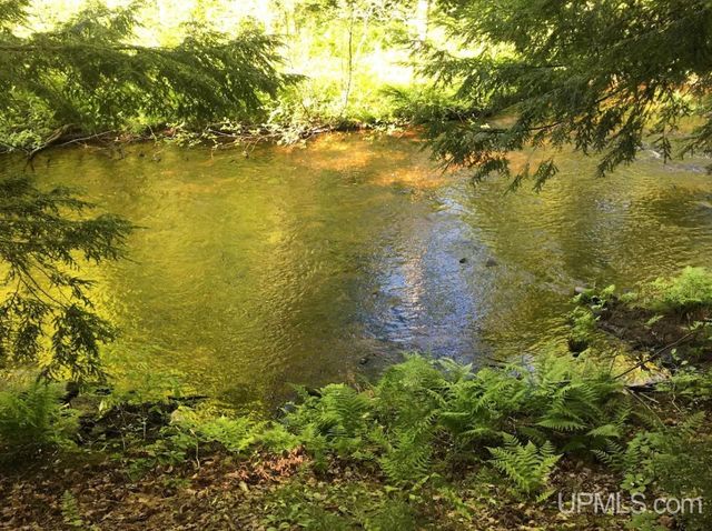 8285 Peter White Road, Deerton, MI 49822