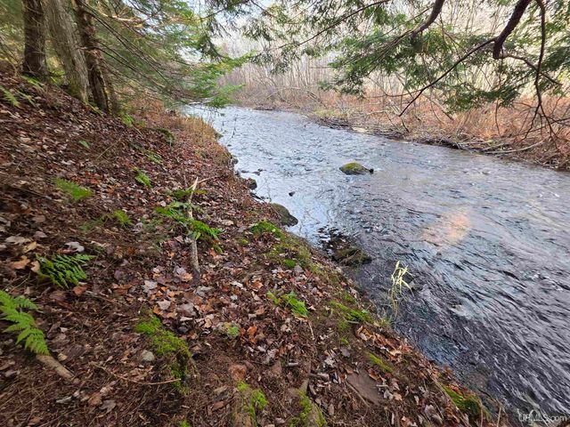 8285 Peter White Road, Deerton, MI 49822