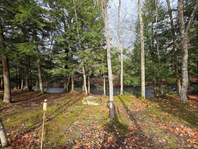 8285 Peter White Road, Deerton, MI 49822