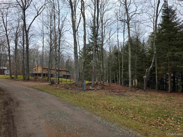 8285 Peter White Road, Deerton, MI 49822