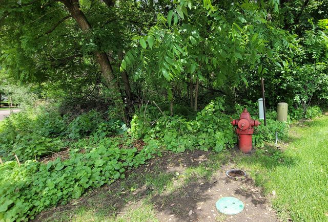 4893 Woodhurst Lane, Minnetonka, MN 55345