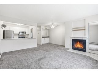 532 Oakwood Dr D105, Castle Rock, CO 80104