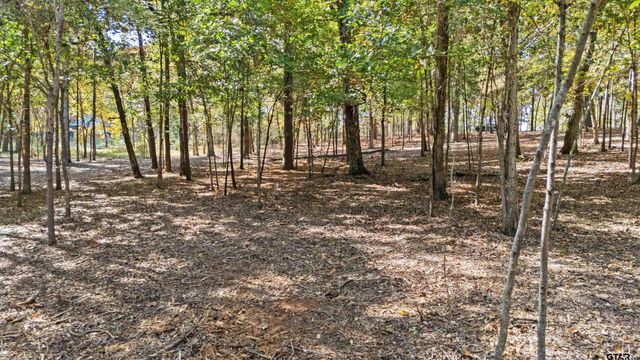 14639 Harbor Way, Flint, TX 75762
