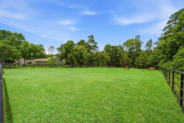 16903 Mustang Trail Drive, Magnolia, TX 77355