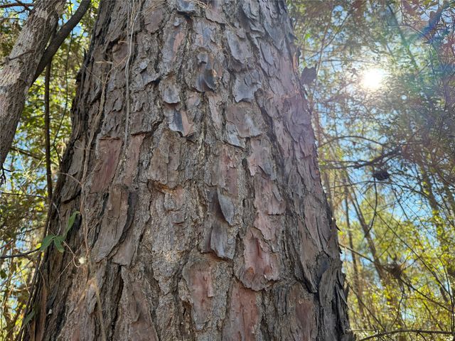 T-3 Eldridge Road, Cleveland, TX 77328