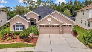 3247 DIAMOND FALLS CIRCLE, Land O Lakes, FL 34638