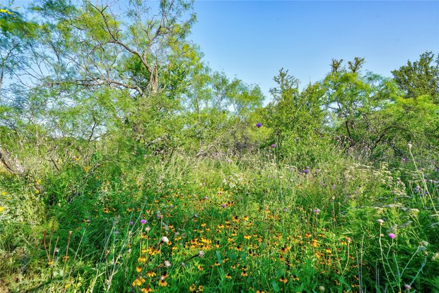 TBD FM-1156 12.38, Jacksboro, TX 76458