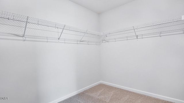 30 Grazing Crop Court, Youngsville, NC 27596