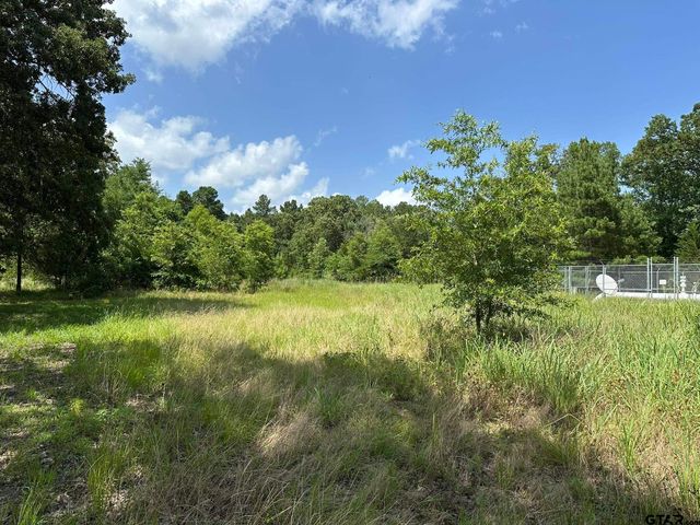 143 County Road 3460, Hawkins, TX 75765