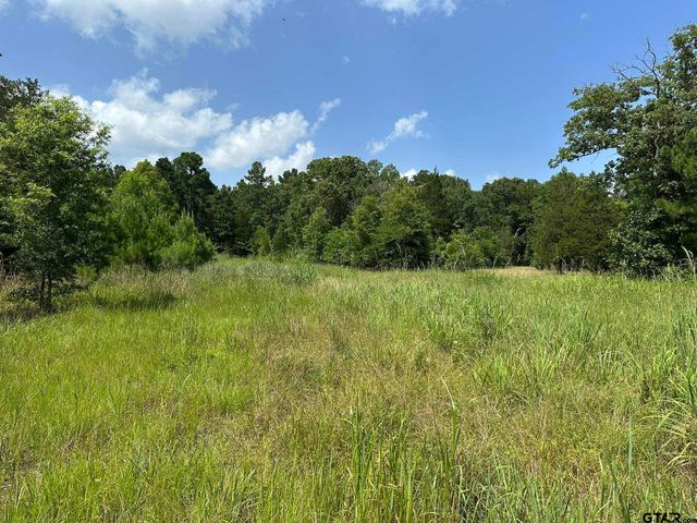 143 County Road 3460, Hawkins, TX 75765