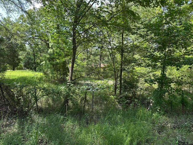 143 County Road 3460, Hawkins, TX 75765