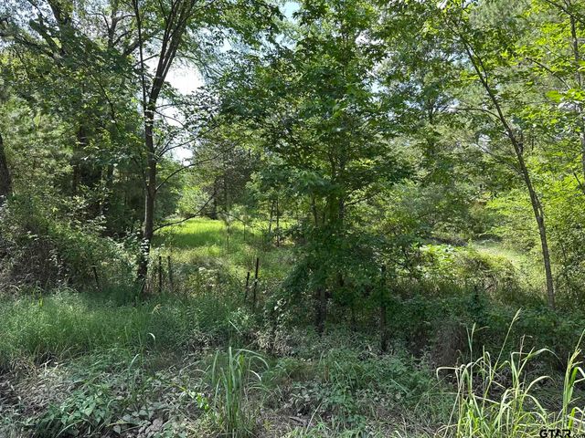 143 County Road 3460, Hawkins, TX 75765