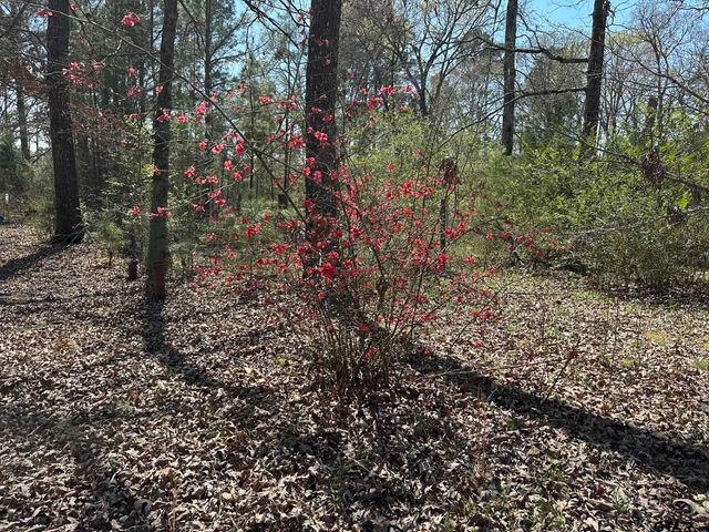 143 County Road 3460, Hawkins, TX 75765