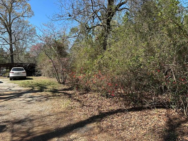 143 County Road 3460, Hawkins, TX 75765