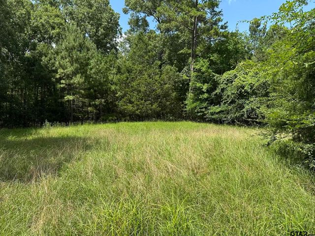 143 County Road 3460, Hawkins, TX 75765