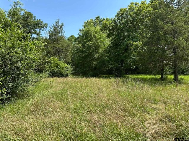 143 County Road 3460, Hawkins, TX 75765