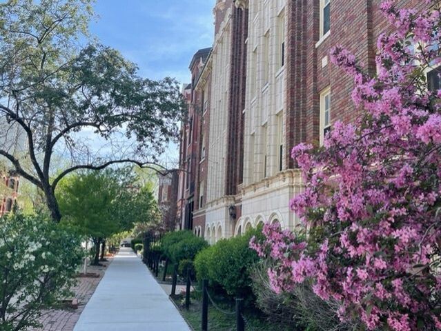 1824 N Lincoln Park West 306, Chicago, IL 60614