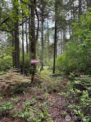 11913 Country Club Drive, Anderson Island, WA 98303